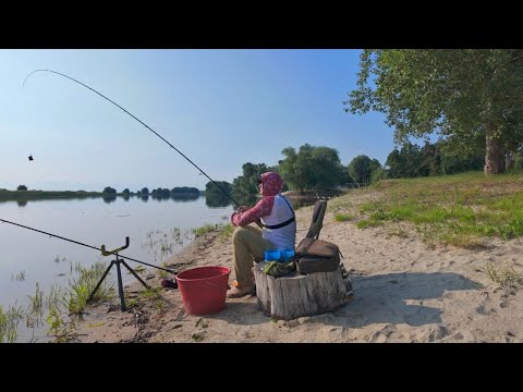Видео: Рибалка з фідером на Дніпрі. ЧЕРКАСИ - РАЙ ДЛЯ РИБАКА, екскурсія риболовними магазинами.