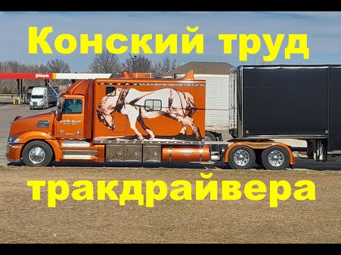 Видео: Дальнобой по США