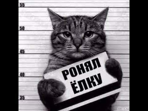 Видео: Фотоловушка BolyGuard SG 520 .2 серия.....