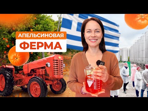 Видео: Как делают эфирное масло и сок из апельсинов? Гуляем по ферме в Греции