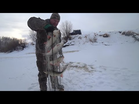 Видео: Рыбалка на хапуги. Глухозимье подходит к концу.