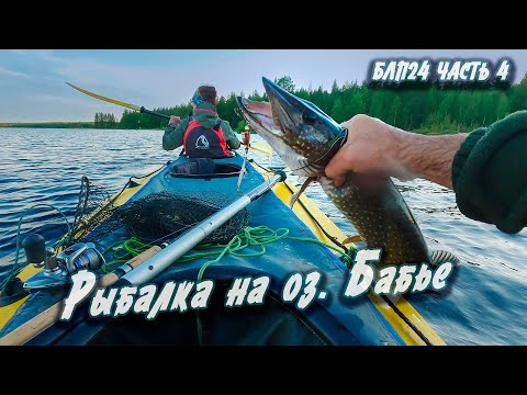 Видео: #4Рыбалка на оз. Бабьем | Навстречу северным ветрам 2024