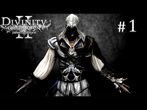 Видео: Прохождение Divinity Original Sin 2 за АССАСИНА #1 / Набираем 2 уровень на корабле Divinity 2 #1