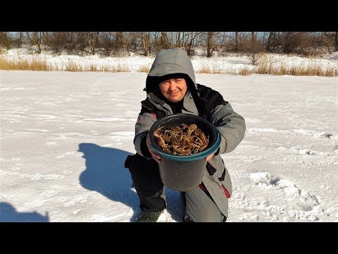 Видео: Ловля РАКОВ зимой.Ведро раков из подо льда!!!Мы знаем где раки зимуют!!!