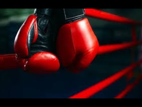 Видео: «Қазақстандық бокс федерациясының кубогі» республикалық жарысы  07.11.2025ж