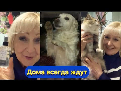 Видео: БЕЗ МЕНЯ МОЙ ДОМ НЕ МОЖЕТ ‼️НОВЫЕ ВПЕЧАТЛЕНИЯ!ПОДРУГА ЛЕНА!ЧУДО ЖЕНЩИНА ‼️