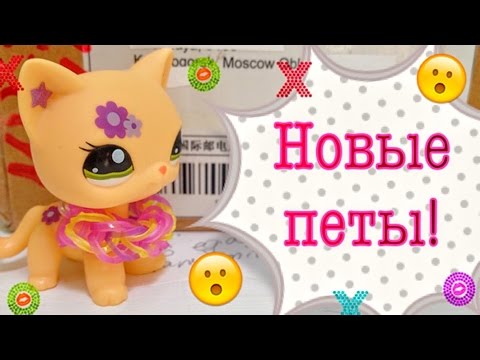 Видео: LPS: МЕГА-посылка с Aliexpress. Новинки! Распаковка и обзор!
