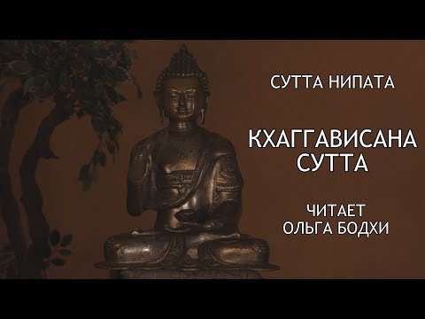 Видео: Сутта Нипата. 1.3 Кхаггависана Сутта - Рог носорога. Читает Ольга Бодхи / Студия Бодхи