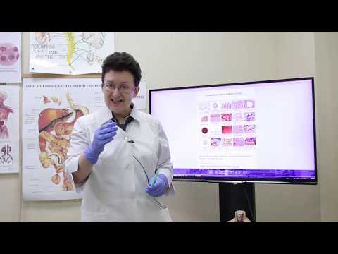 Видео: Сроки восстановления тканей нашего организма.