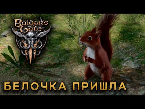 Видео: Baldur's Gate 3 #3 Белочка пришла