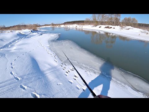 Видео: ЛОВЛЯ ЩУКИ В МАРТЕ ПЕРЕД НЕРЕСТОМ! Природа как в сказке. Рыбалка на спиннинг 2024.