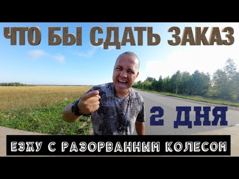 Видео: И Заработал неПЛОХО!!