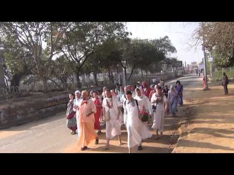 Видео: Говардхан парикрама со  Шрилой Б.Б Авадхут Махараджем.