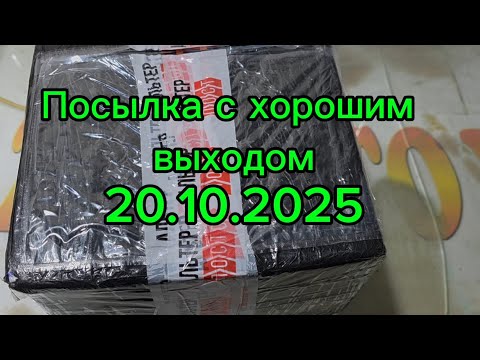 Видео: Посылочка с хорошим выходом 20.10.2025