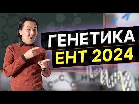 Видео: Как решать задачи по Генетике?