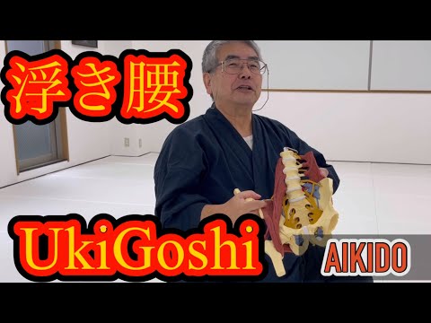 Видео: УкиГоши? Основные манипуляции телом в боевых искусствах (Айкидо).