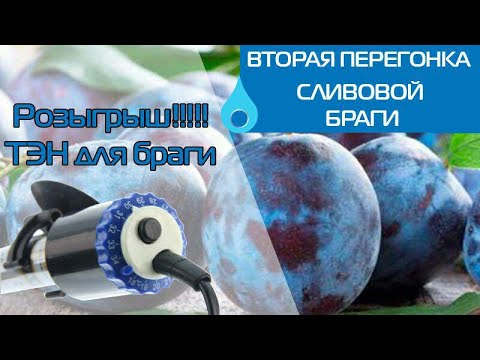 Видео: Сливовый самогон - вторая перегонка. РОЗЫГРЫШ приза!