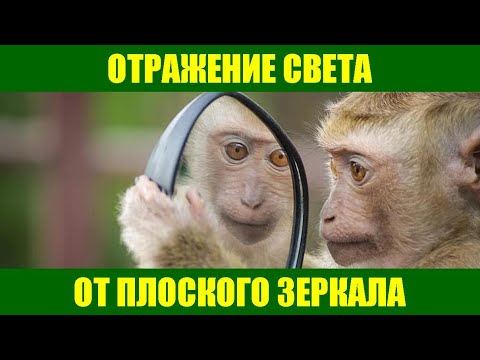 Видео: Отражение света от плоского зеркала
