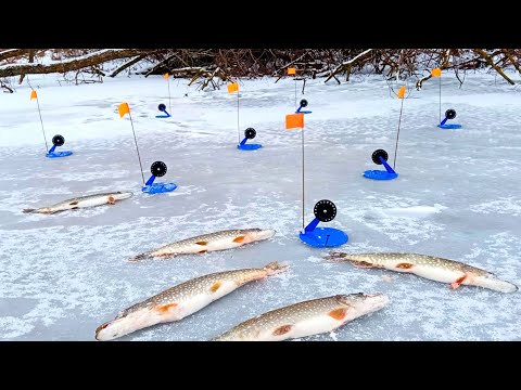 Видео: РЕЦЕПТ ХОРОШЕГО КЛЁВА! Рыбалка на жерлицы.