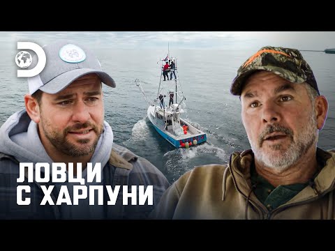 Видео: Победа или поражение | Ловци с харпуни