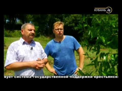 Видео: «Сельские истории». Унаби и дольмены