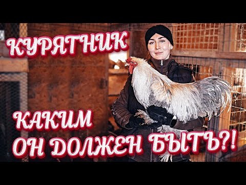 Видео: Планы на Курятник! Что мы Изменим? | Молодая Ферма