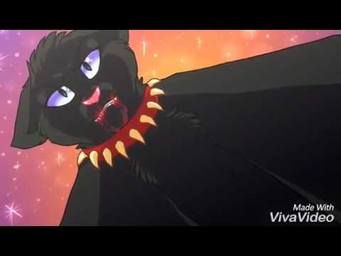 Видео: Коты воители бич "монстр"