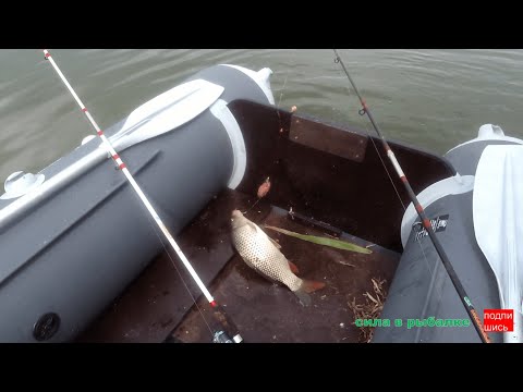 Видео: УЛËТНАЯ РЫБАЛКА С ЛОДКИ !!! ЖОР САЗАНА И КАРАСЯ.