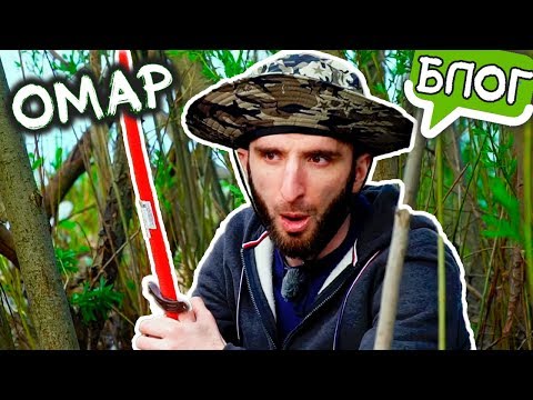 Видео: Омар самоизолировался на природу / Омар в большом городе