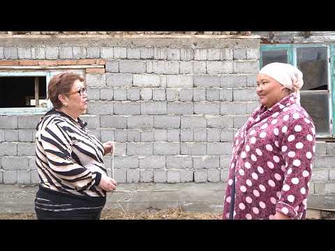 Видео: БЕНТОБАК. Халал өнім. Жеке шаруашылық меңгерушісі Жанкулова  Тұрсынкүл ханыммен сұхбат