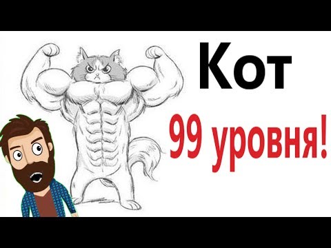 Видео: Лютые приколы. МОЙ КОТ 99 УРОВЕНЬ!!! Засмеялся проиграл! САМОЕ смешное видео! – Domi Show