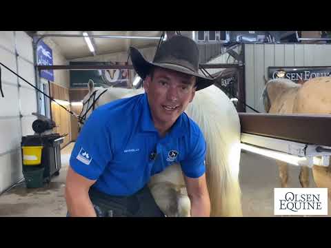 Видео: КОВБОЙСКАЯ ОБУВЬ — чем жестче, тем лучше!