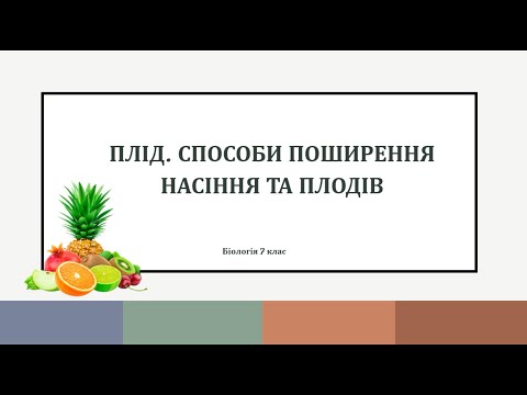 Видео: Плід. Способи поширення насіння та плодів