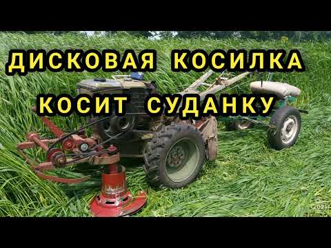 Видео: Кошу суданку дисковою косаркою