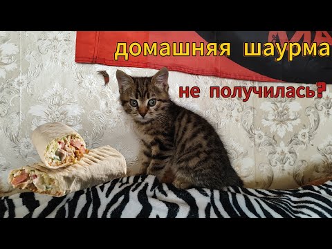 Видео: ШАУРМА за 100 РУБЛЕЙ? ТАКОЕ ВОЗМОЖНО? 