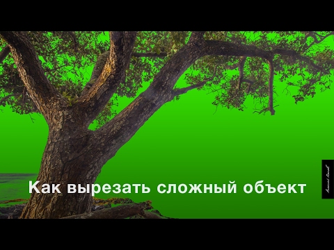 Видео: Как вырезать сложный объект из фона | Уроки Photoshop