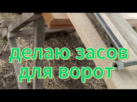 Видео: 15 октября 2025 г.