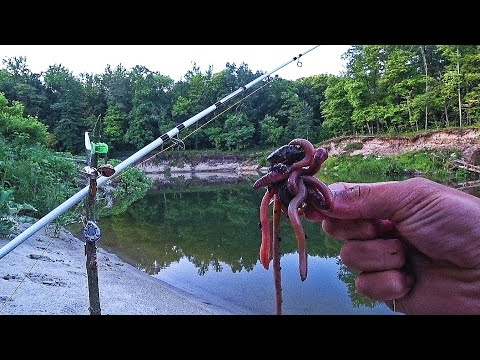 Видео: ДУШЕВНАЯ РЫБАЛКА В СКАЗОЧНОМ МЕСТЕ! КЛЮЁТ ТОЛЬКО ЗАКИНЬ! Ловля рыбы на донку 2024.