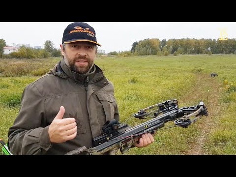 Видео: Коллиматорный прицел TRUGLO