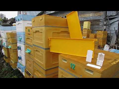Видео: открывать или нет сетчатое дно в улье на зиму, сравниваю разные варианты зимовки, акция у BienenHaus