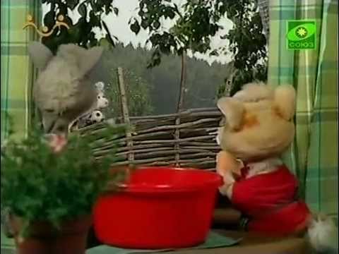 Видео: 🧽Шишкин лес - 051 - Коксик и Зубок моют окно (2013)