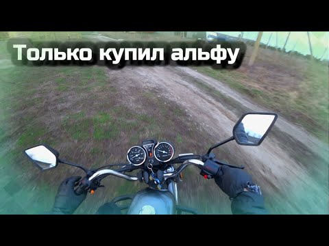 Видео: Только купил альфу покатушка без монтажа🤟 🤘 🤙