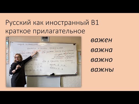 Видео: Краткие прилагательные. Русский как иностранный, уровень В1.