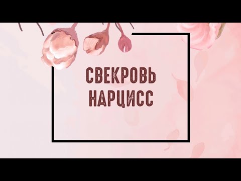 Видео: Пусть говорят. Свекровь нарцисс ||обзор телепередачи||
