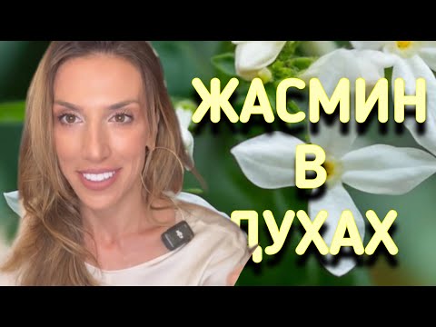 Видео: ЖАСМИН В ПАРФЮМАХ 🌸🌸🌸
