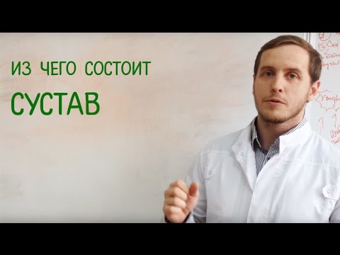 Видео: Из чего состоит сустав. Интересно для спортсменов.