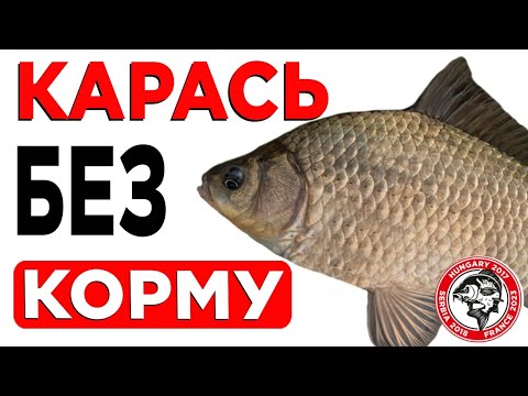 Видео: Як ВИБРАТИ найкращу насадку і оснастку для ЛОВЛІ КАРАСЯ навесні