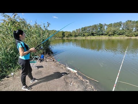 Видео: СУПЕР ОТДОХНУЛИ НА РЫБАЛКЕ.