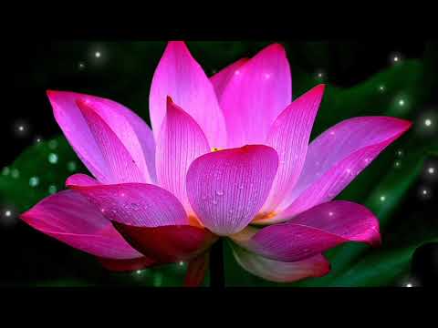 Видео: МАНТРА ГУАНЬ ИНЬ. Мантра Милосердия.