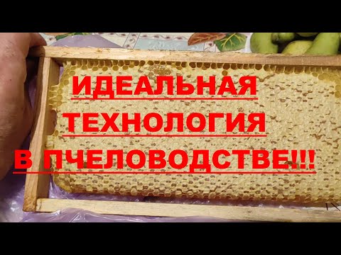 Видео: МАЛОФОРМАТНАЯ РАМКА, УЗКО -- ВЫСОКОЕ ГНЕЗДО --- ЭТО ИДЕАЛЬНАЯ ТЕХНОЛОГИЯ В ПЧЕЛОВОДСТВЕ !!!